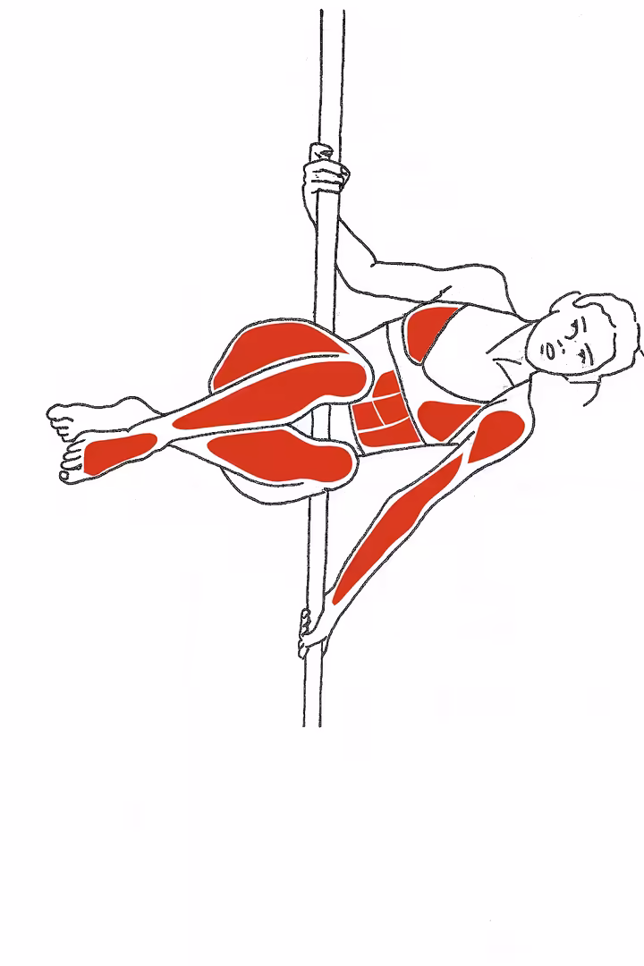 An anatomical illustration highlighting the key muscles used in a cradle spin, including the lats, pecs, obliques, and hip flexors.